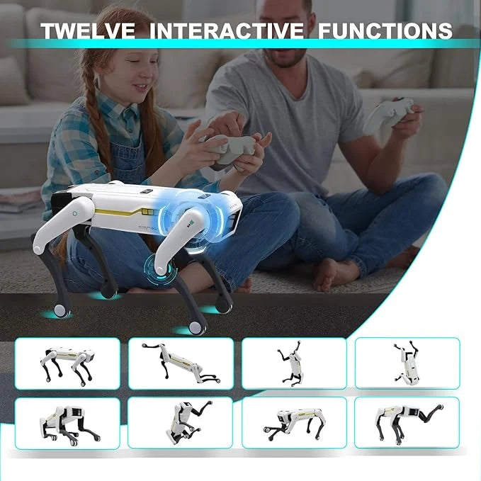 Smart Dog Multifunctional Toy © Ⓢ