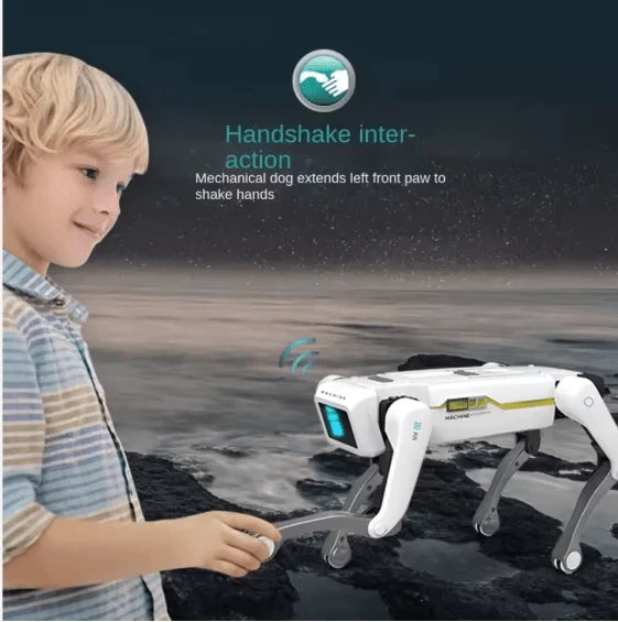 Smart Dog Multifunctional Toy © Ⓢ